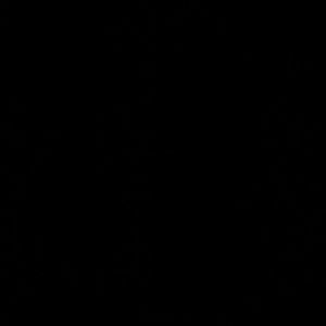 Meet your Posher, Kiara